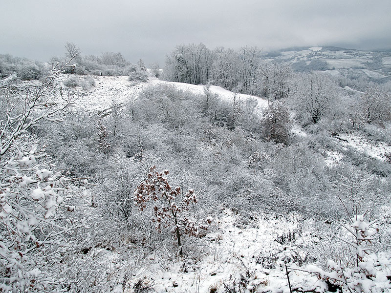 Oasi naturalistica del Carmine